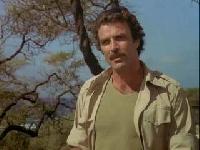 Magnum PI